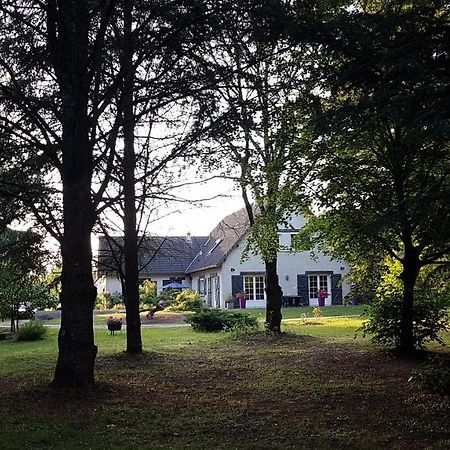 Le Clos Des Ecureuils Vouzon Eksteriør billede