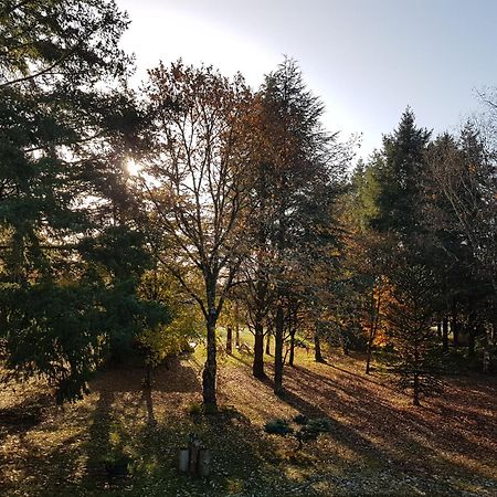 Le Clos Des Ecureuils Vouzon Eksteriør billede