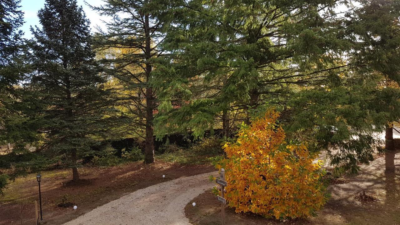 Le Clos Des Ecureuils Vouzon Eksteriør billede