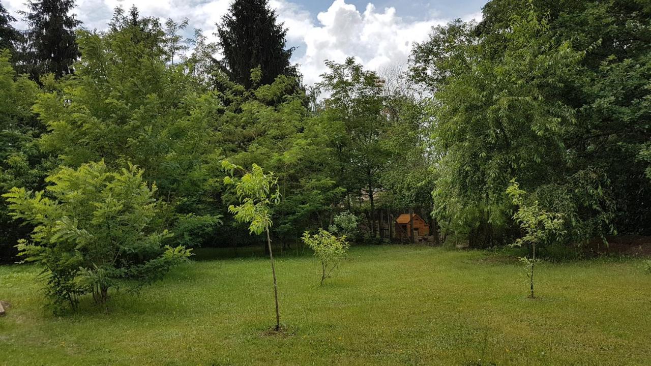 Le Clos Des Ecureuils Vouzon Eksteriør billede